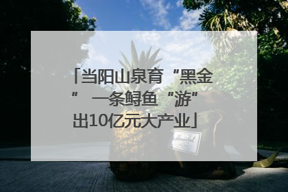当阳山泉育“黑金” 一条鲟鱼“游”出10亿元大产业