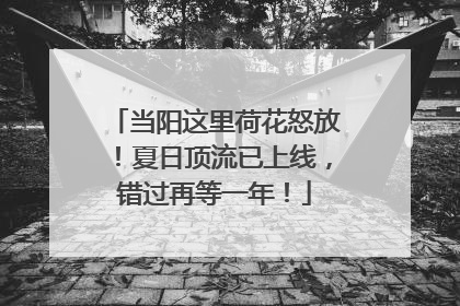 当阳这里荷花怒放！夏日顶流已上线，错过再等一年！