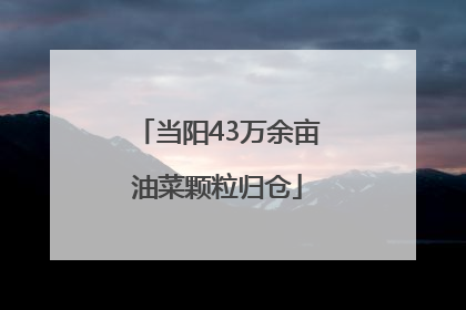 当阳43万余亩油菜颗粒归仓