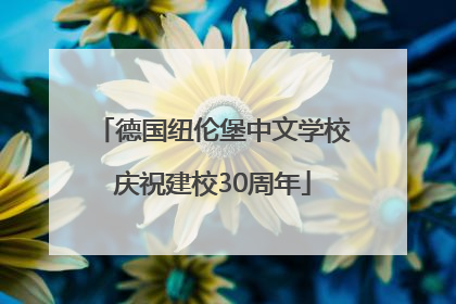 德国纽伦堡中文学校庆祝建校30周年