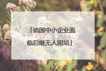 德国中小企业面临后继无人困境