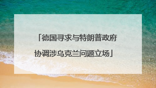 德国寻求与特朗普政府协调涉乌克兰问题立场