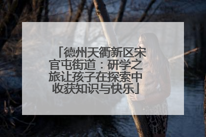 德州天衢新区宋官屯街道：研学之旅让孩子在探索中收获知识与快乐