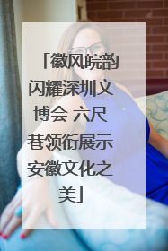 徽风皖韵闪耀深圳文博会 六尺巷领衔展示安徽文化之美