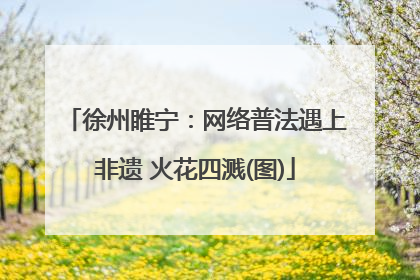 徐州睢宁：网络普法遇上非遗 火花四溅(图)