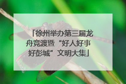 徐州举办第三届龙舟竞渡暨“好人好事好彭城”文明大集