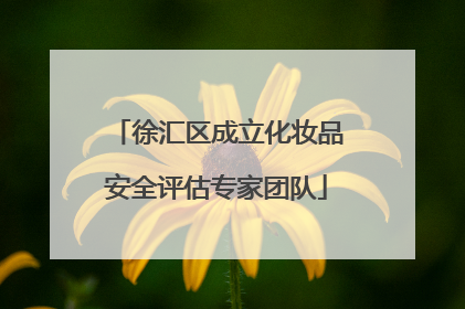 徐汇区成立化妆品安全评估专家团队
