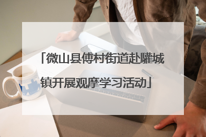 微山县傅村街道赴驩城镇开展观摩学习活动