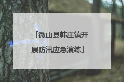 微山县韩庄镇开展防汛应急演练