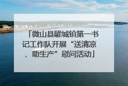 微山县驩城镇第一书记工作队开展“送清凉、助生产”慰问活动