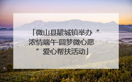 微山县驩城镇举办“浓情端午·圆梦微心愿”爱心帮扶活动