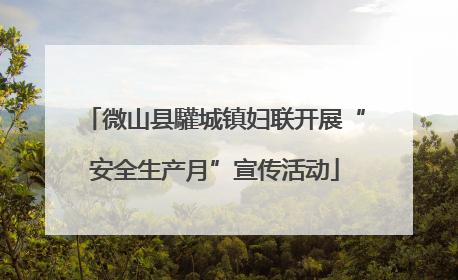 微山县驩城镇妇联开展“安全生产月”宣传活动