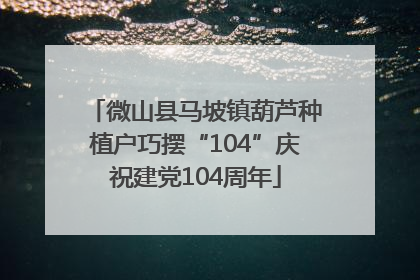 微山县马坡镇葫芦种植户巧摆“104”庆祝建党104周年