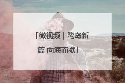 微视频｜鹭岛新篇 向海而歌