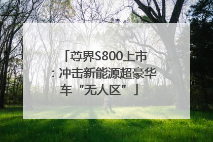 尊界S800上市：冲击新能源超豪华车“无人区”