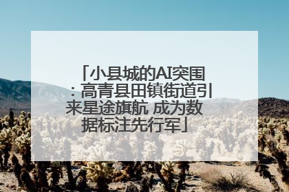 小县城的AI突围：高青县田镇街道引来星途旗航 成为数据标注先行军