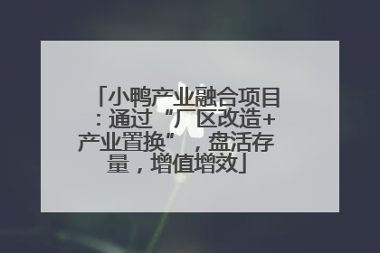 小鸭产业融合项目：通过“厂区改造+产业置换”，盘活存量，增值增效