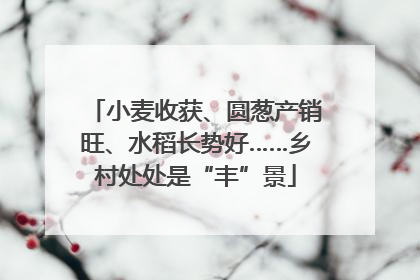 小麦收获、圆葱产销旺、水稻长势好……乡村处处是“丰”景