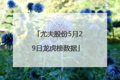 尤夫股份5月29日龙虎榜数据