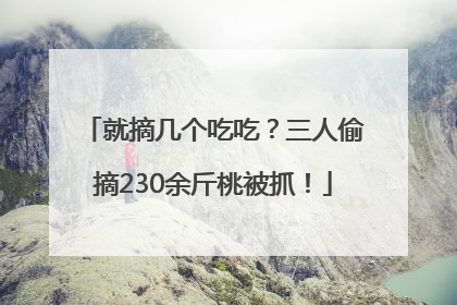 就摘几个吃吃？三人偷摘230余斤桃被抓！