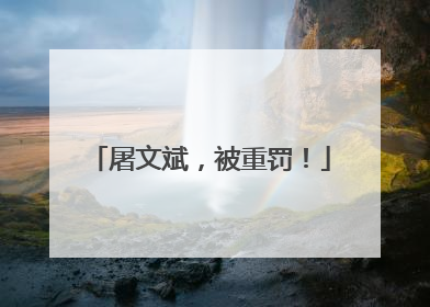 屠文斌，被重罚！