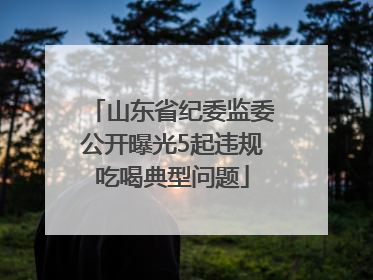 山东省纪委监委公开曝光5起违规吃喝典型问题