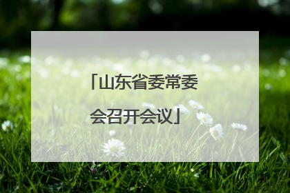 山东省委常委会召开会议