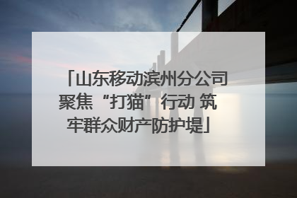 山东移动滨州分公司聚焦“打猫”行动 筑牢群众财产防护堤