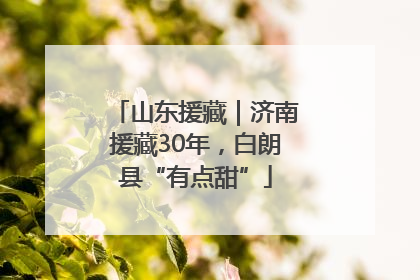 山东援藏｜济南援藏30年，白朗县“有点甜”