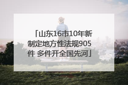 山东16市10年新制定地方性法规905件 多件开全国先河