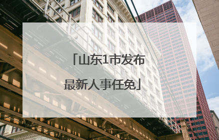 山东1市发布最新人事任免