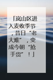 岚山区进入麦收季节，昔日“老大难”，变成今朝“抢手货”！