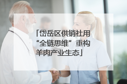 岱岳区供销社用“全链思维”重构羊肉产业生态