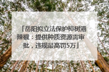 岳阳拟立法保护樟树港辣椒：提供种质资源需审批，违规最高罚5万