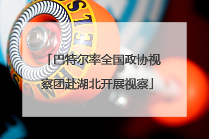 巴特尔率全国政协视察团赴湖北开展视察
