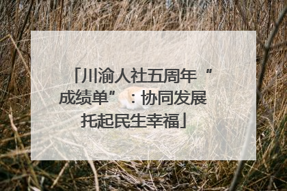 川渝人社五周年“成绩单”：协同发展托起民生幸福