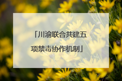 川渝联合共建五项禁毒协作机制