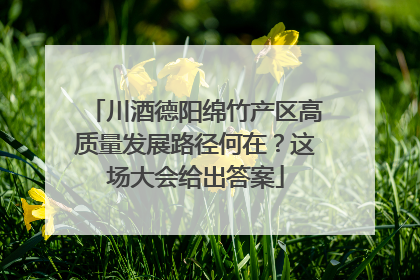川酒德阳绵竹产区高质量发展路径何在？这场大会给出答案