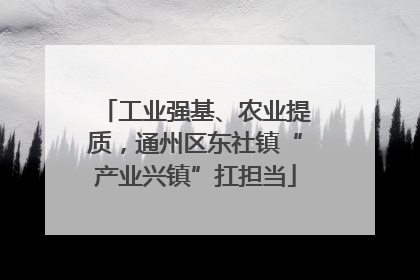 工业强基、农业提质，通州区东社镇“产业兴镇”扛担当