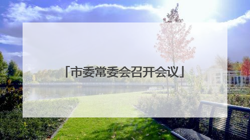 市委常委会召开会议