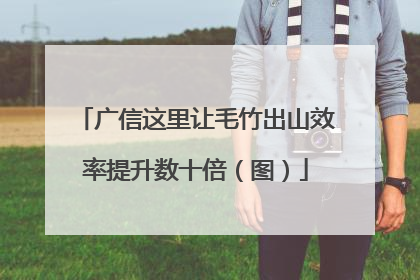 广信这里让毛竹出山效率提升数十倍（图）