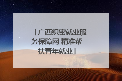 广西织密就业服务保障网 精准帮扶青年就业
