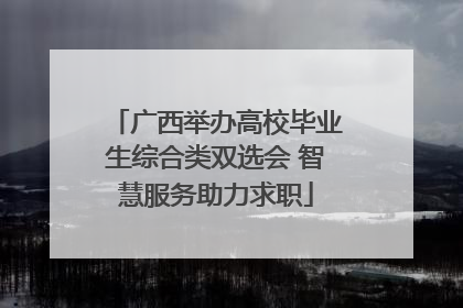 广西举办高校毕业生综合类双选会 智慧服务助力求职