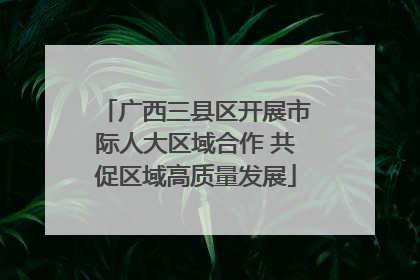 广西三县区开展市际人大区域合作 共促区域高质量发展