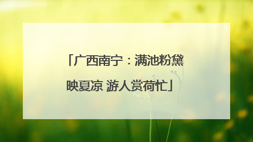 广西南宁：满池粉黛映夏凉 游人赏荷忙