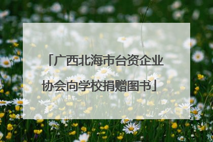 广西北海市台资企业协会向学校捐赠图书