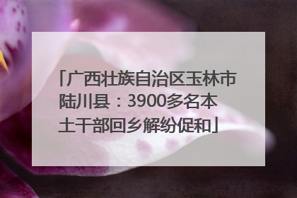 广西壮族自治区玉林市陆川县：3900多名本土干部回乡解纷促和