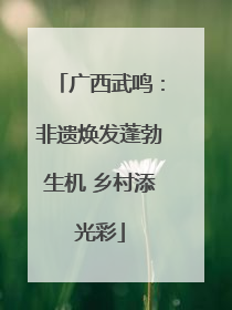 广西武鸣：非遗焕发蓬勃生机 乡村添光彩