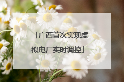 广西首次实现虚拟电厂实时调控