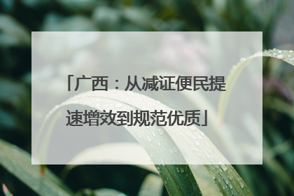 广西：从减证便民提速增效到规范优质